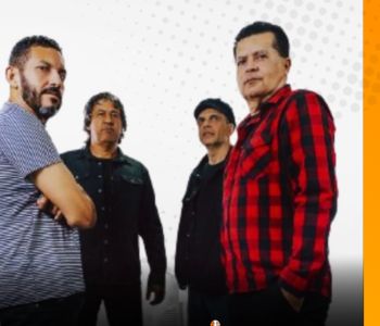 LANÇAMENTO I ORGANOCLORADOS E O SINGLE INSEGURANÇA: 