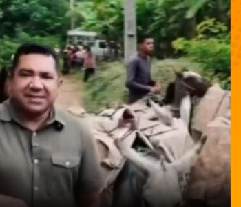 Prefeito de Itapajé utiliza jumentos na reforma de escola e gera polêmica