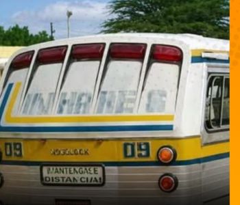 No balanço da estrada: lembranças de quem viajou com a Linhares