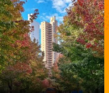 Qualidade de vida: Curitiba lidera levantamento sobre as melhores e piores capitais do Brasil em 2026